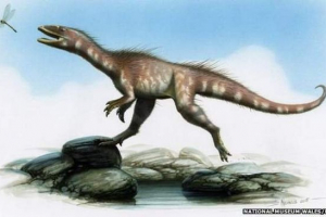 Pierwsze drapieżne dinozaur z walii Pierwsze drapieżne dinozaur z walii